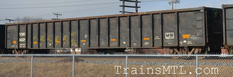 Car/wagon TCMX34229 left side / coté gauche